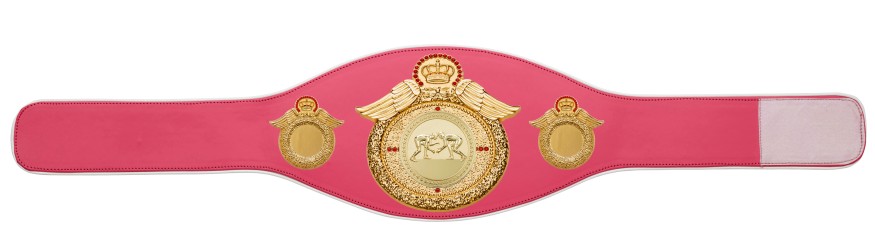 GRAPPLING CHAMPIONSHIP BELT-PROWING/G/GRAPPG-6+ COLOURS